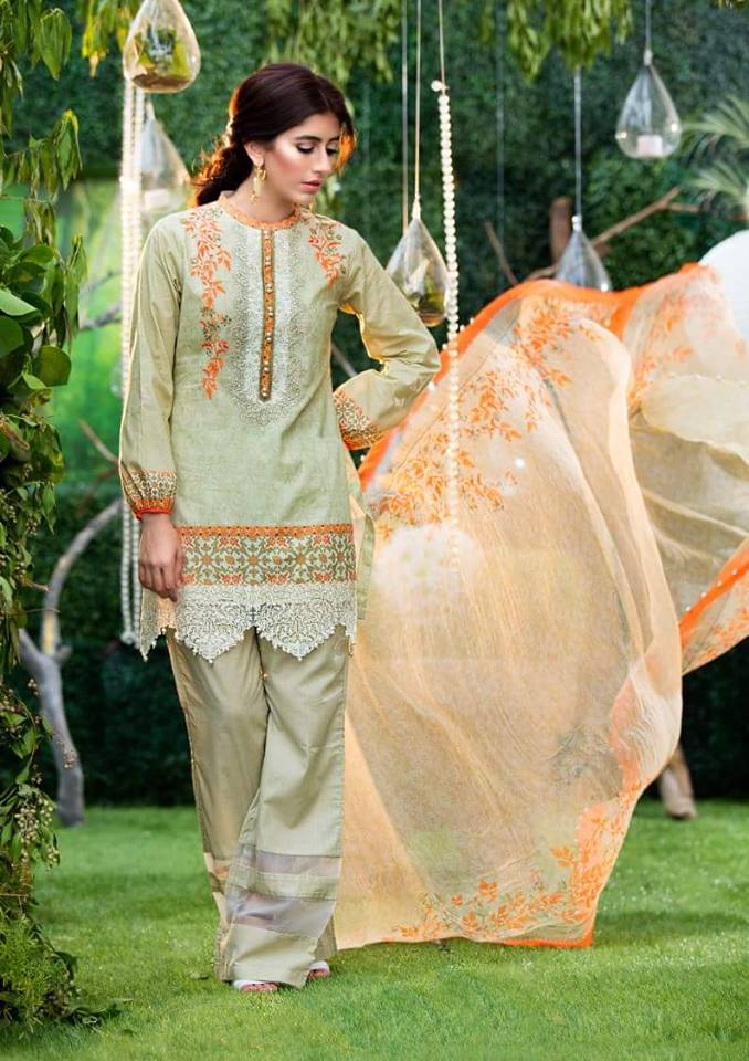 Chiffon Embroidery Collection by Alkaram-10