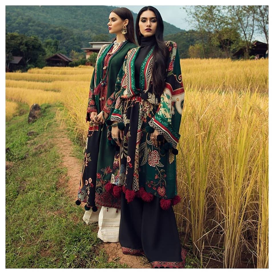 Elan Winter Collection 2019