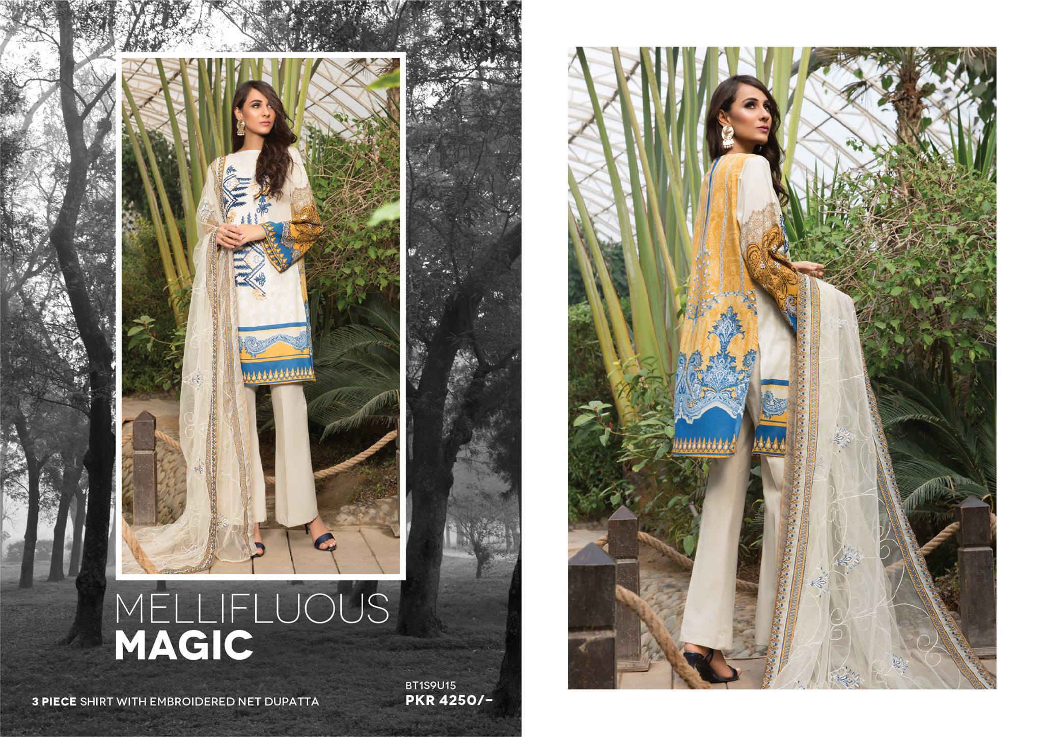 Beech Tree Spring Summer Collection 2019
