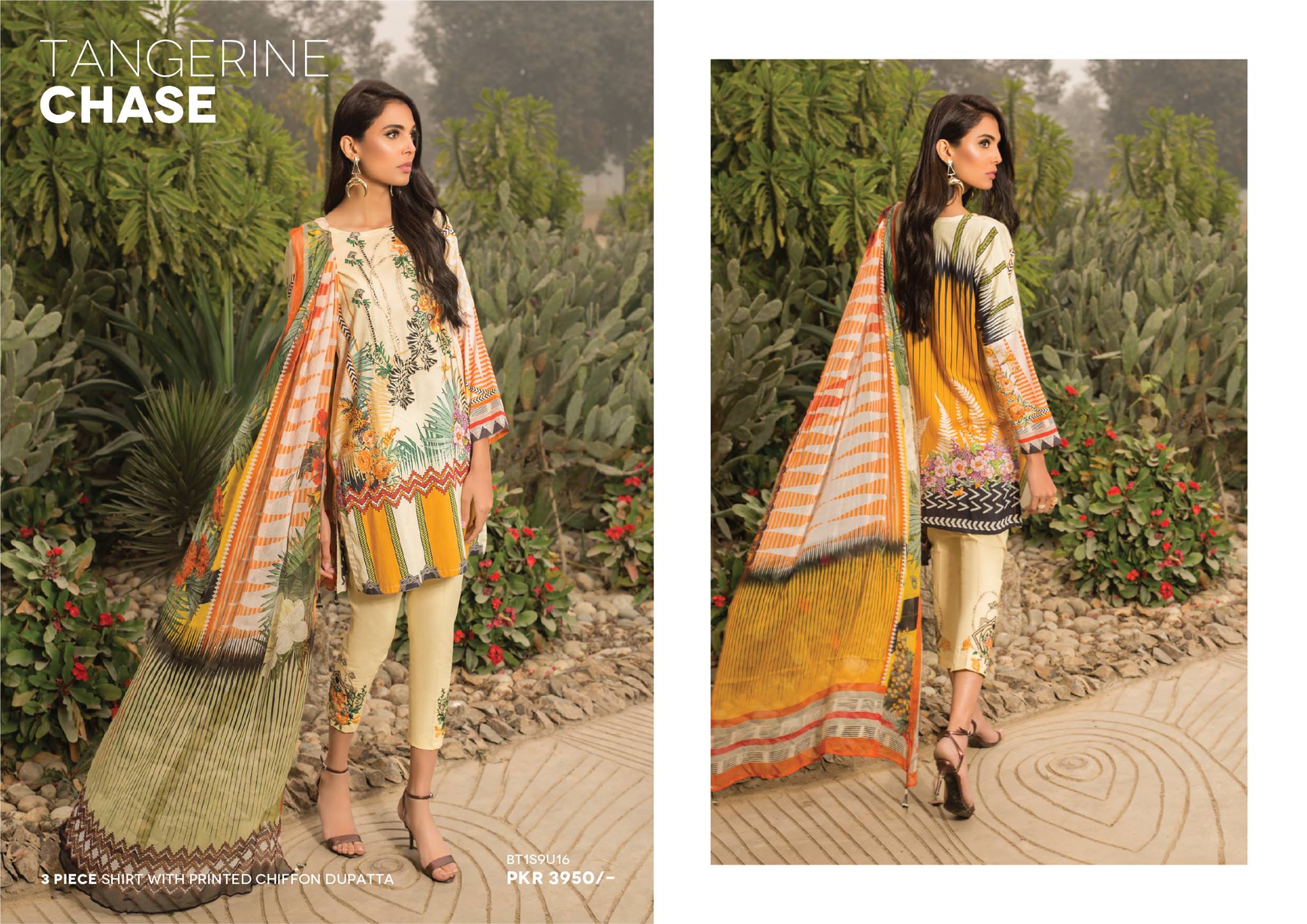 Beech Tree Spring Summer Collection 2019