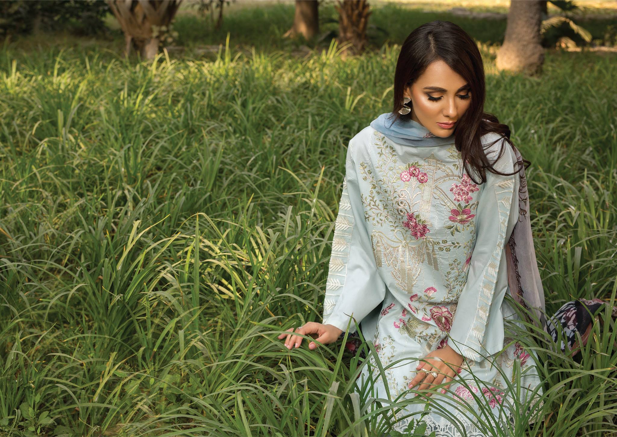 Beech Tree Lawn Collection 2019
